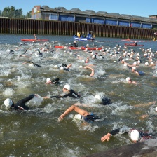 Schwimmende Athleten im Hafenbecken